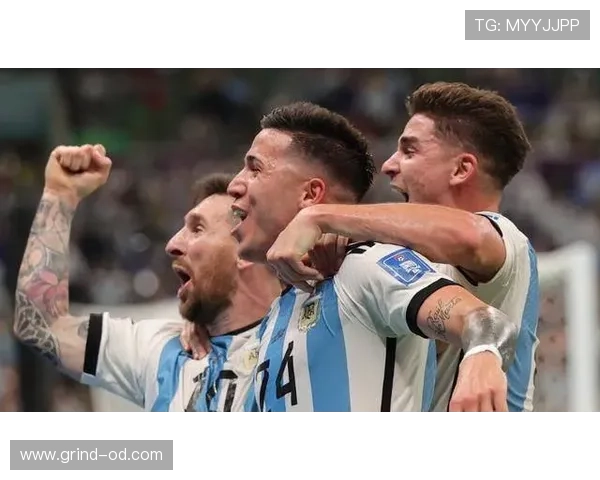 恩佐转会溢价与实战价值差距分析